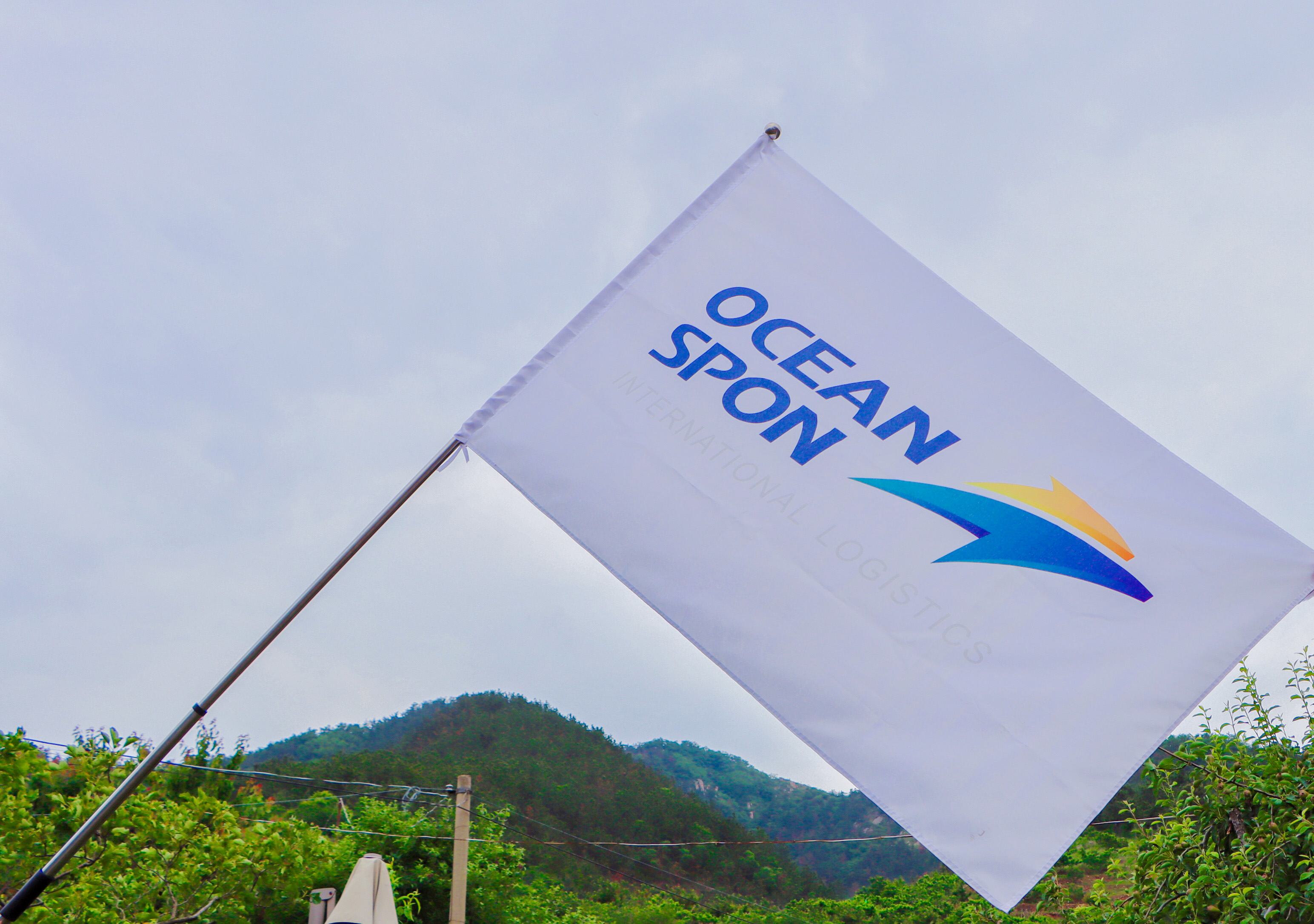 jdb电子游戏(中国)官方网站